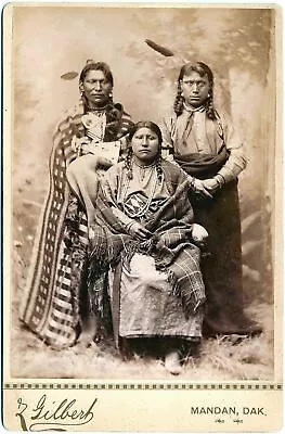 Native American Indian Portrait Brave & Family 1880 Photo Art Print Picture • £4.50