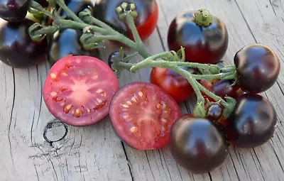 50 Seeds Tartufo Micro Dwarf  Tomato Heirloom Tomatoes Juicy Vegetable Garden • $3.66