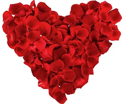 240 Fake Red Rose Petals Confetti Table Decorations Wedding Valentines Day 6cm • £3.49