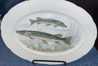 Haas & Czjzek Antique Porcelain Large Oval Serving  Platter With Fish • $125