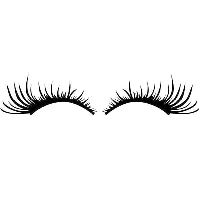 2Pc Funny Eyelashes Vinyl Decal Stickers For Car Headlight Eyebrow 3D Decoration • $12.79