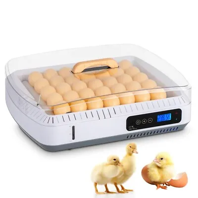 Premium 35-Egg Incubator With Automatic Turning Temperature Control • $67.50