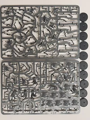 10x Deathrattle Skeletons  Soulblight Gravelords Vampire Counts AOS GW • $29.25