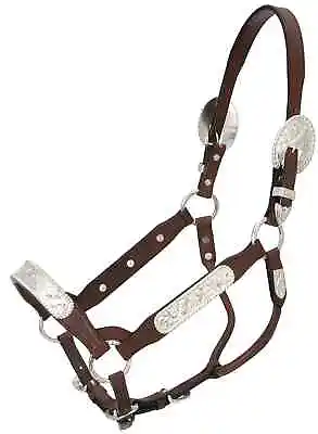 $67.95 • Buy Berry Edge Silver Congress Horse Show Halter With Lead Horse Or Yearling NEW