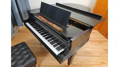 Mason & Hamlin Grand Piano • $33399