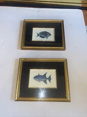 2 Tropical Fish Print On Matted Gold Framed Vintage Fish Decor Ocean Wall Art • $44.44