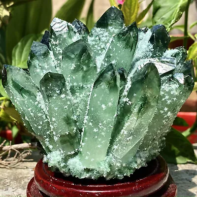 2.22LB New Find Green Phantom Quartz Crystal Cluster Mineral Specimen Healing • $0.99