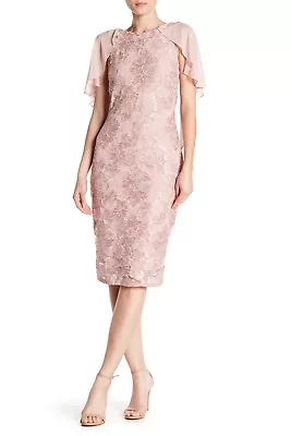 Marina Lace Ruffle Popover Dress Boatneck Sleeveless BLUSH Size 8 $149 NWT • $47