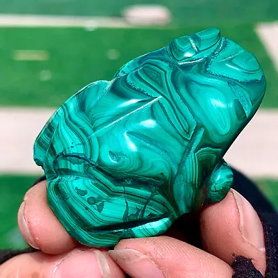 69G Rare Natural Malachite Quartz Handmade Carved Crystal Frog Treatment • $0.99