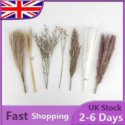 21pcs Natural Pampas Grass Long Bunch Dried Flower Bouquet Home Party Decor Set • £4.59