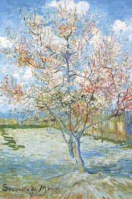 Vincent Van Gogh Flowering Peach Trees 24x36 Poster Art Painting Legend Icon New • $17.99