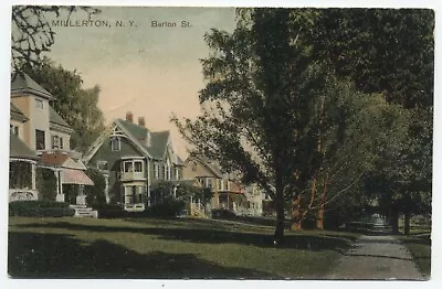 NY ~ Trees Barton Street Homes MILLERTON New York 1908 Dutchess County Postcard • $6.20