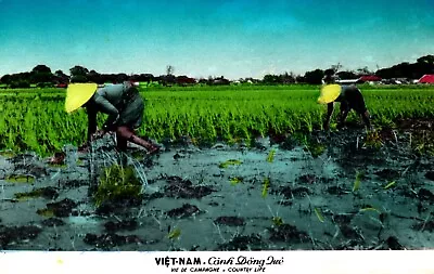 Country Life Vietnam Postcard • $1.99