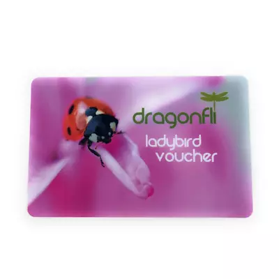 Dragonfli Token For 25 Live Ladybirds - A Perfect Gift For Ladybird Lovers • £23.99