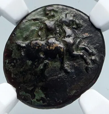  MAGNESIA Ad MAEANDRUM IONIA 300BC Authentic Ancient Greek Coin BULL NGC I89555 • $238.80