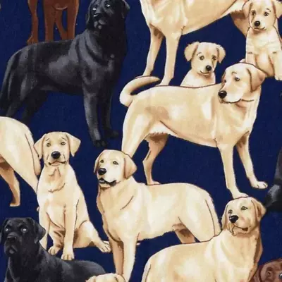 £7.99 • Buy Navy Labrador Dog Fabric 100% Premium Cotton By Timeless Treasures Per 1/2 Metre