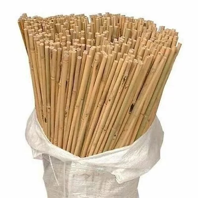 2ft – 6ft Strong Thick Bamboo Canes Garden Stake Plant Support Wood Flower Stick • £8.88