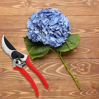 £9.79 • Buy Spear & Jackson Bypass Secateurs Garden Pruners Pruning Shears Cutter 2222BS