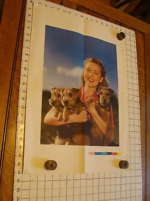 Vintage Printing Sample Poster: WOMAN & 3 AIREDALE OR WELSH TERRIER PUPS 23x17 • $33.69