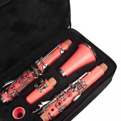 Bb Clarinet Woodwind Beginner Instrument With Box Stand Mouthpiece 10 Reeds • $190.21