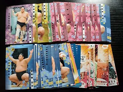 BBM Grand Sumo Trading Cards 2024 Series 1 - Individual Cards USA Seller! • $3.99