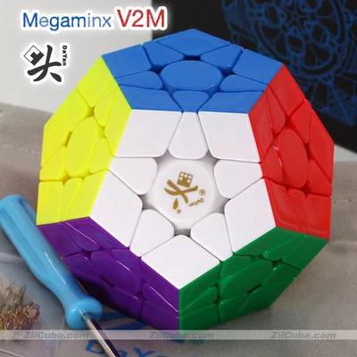 $37.52 • Buy Dayan Megaminx V2 M Magnetic Magic Speed Cube Stickerless Professional Fidget