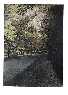 $4750 • Buy Harold Altman “Bridle Path” Artist Proof Framed Signed