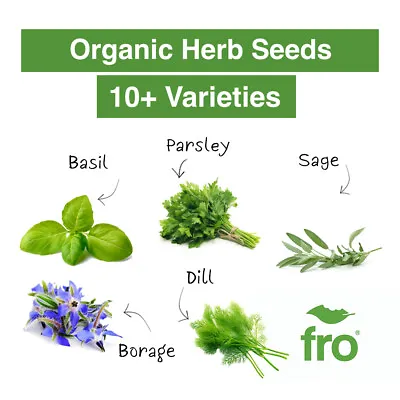 Organic Herb Seeds - Garden Herbs - Easy To Grow - Growing Kit - Indoor Outdoor • £2.25