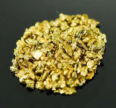 Alaskan Yukon Gold Rush Nuggets #25 Mesh 1 GRAM-of Fines • $84.94