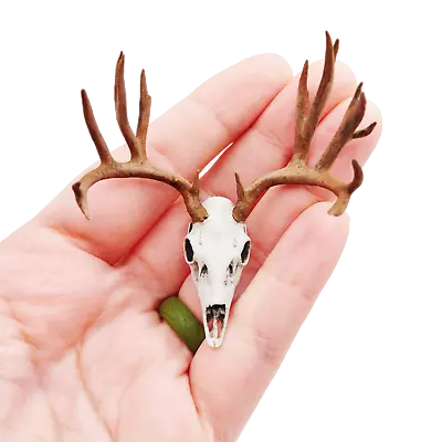 Mule Deer Skull 1:12 Scale Artisan Diorama Dollhouse Miniature Models 3d Printed • $24