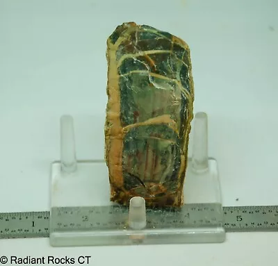 Morrisonite Porcelain  Picture Jasper Lapidary Rough 6.1 Oz (172 Grams) • $110