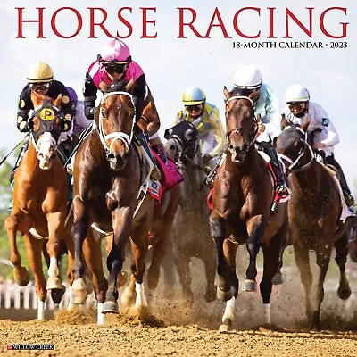 $15.95 • Buy Horse Racing - 2023 Wall Calendar - Brand New - 26342