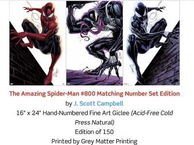 Amazing Spider-Man 800 Matching Number Edition Giclee J. Scott Campbell 2/150 • $78.99