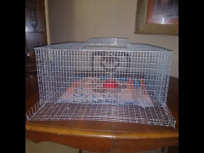 Large Quail Cage  New ( Free Shipping 24x24x9  • $72