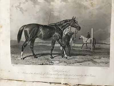 Antique Print 1857 - RATAPLAN - Horse Racing - Tickhill Castle Farm • £7.50