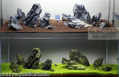 $5 • Buy Aquascaping ADA Seiryu Stone Rock Aquarium Tropical Fish Plant Shrimp 