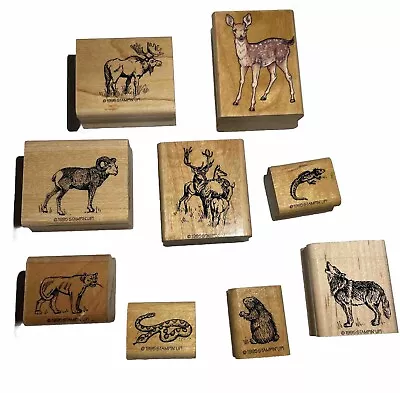 Vintage Mostly Stampin’ Up Rubber Stamps Lot Deer Ram Moose Wolf Wildlife Animal • $19.95