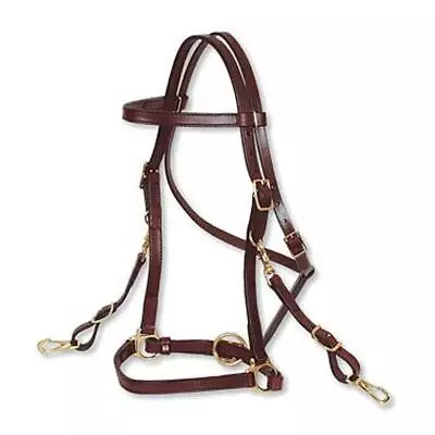 Circle Y Trail Halter Bridle Combo Horse Size Brown W/Brass Hardware #0605-0001 • $149.95