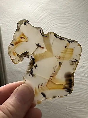Beautiful Old Stock Montana Moss Agate Slab Grandpa’s Collection 1960’s • $40