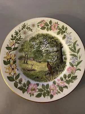 Coalport Woodland Seasons Summer Saunter Plate Collector Pheasant Floral Pattern • £8
