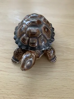 WADE Porcelain Tortoise / Turtle Trinket Box • £3