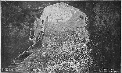 THE ENTRANCE LOOKING OUT Mammoth Cave Kentucky 1908 Postcard • $6.89