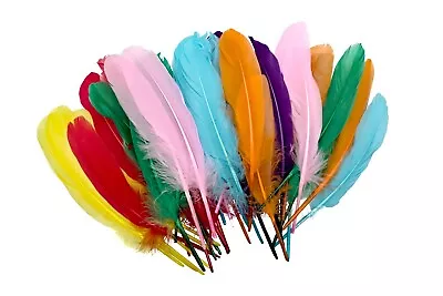Collage Crafts | Giant Collage Crafting Feathers | 15 Grams Approx. 40 Feathers • £4.99