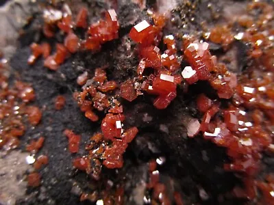 Gem Sparkly Red Vanadinite Crystals With Black Goethite On Matrix Morocco • $70