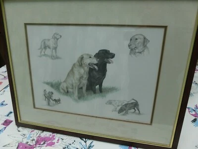 £40 • Buy Nigel Hemming Framed Labrador Gun Dogs Print.