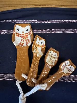 Pier 1 Owl Measuring Spoons Set • $15