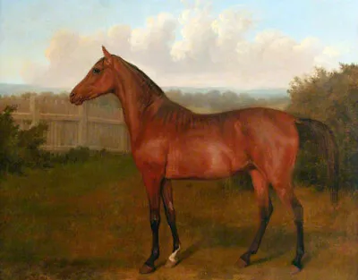 Oil Painting Colt-of-Mare-and-Arab-Horse-Jacques-Laurent-Agasse Horse Landscape • $81.99