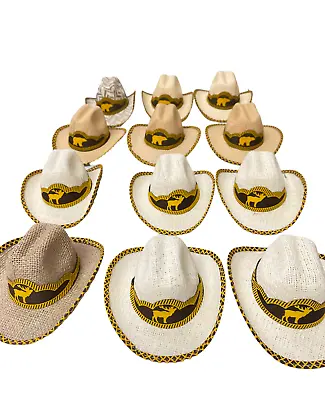 Set Of 12 Mexican Mini Palm Hats  Car  Decor  Sombrero  Mini Hat  Animal • $42