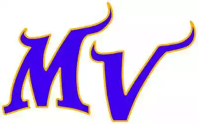 MINNESOTA VIKINGS Vinyl Decal / Sticker ** 5 Sizes **  • $4.59