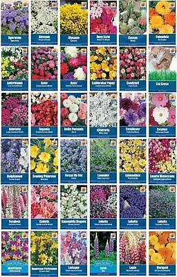 Colourful Flower Seeds Grow Your Own Flowers Sweet Pea Lobelia Nasturtium Pansy • £0.99